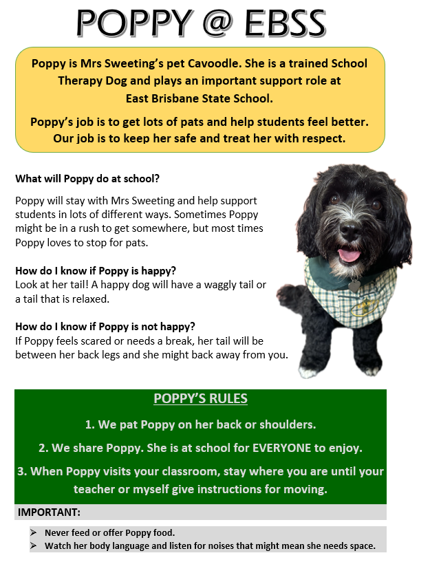 Therapy Dog Poppy.png
